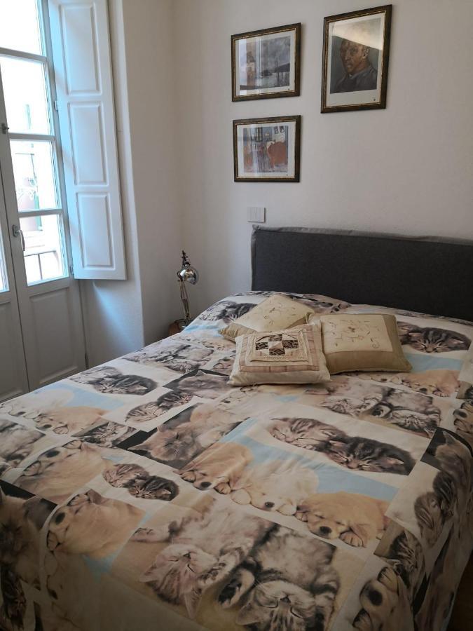 Appartement Casa Del Conte Massimiliano Roero à Coni Extérieur photo